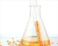 Study Critiques Corn-For-Ethanol's Carbon Footprint