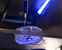 Researchers use common 3-D printer to rebuild heart