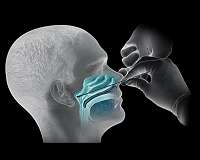 NATO to stockpile medical equipment for virus 2nd wave