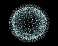 Switzerland delays high-level health meet over coronavirus