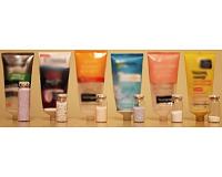 Study demonstrates potential support for ban on microbeads in cosmetics