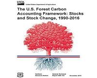 Forest Service scientists improve US forest carbon accounting