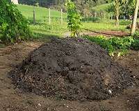 Cow and elephant dung can be turned into paper, study shows