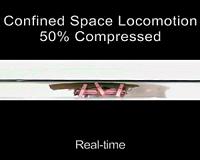 Cockroach inspires robot that squeezes through cracks