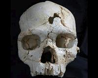 Lethal wounds on skull may indicate 430,000-year-old murder