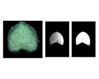 Research helps in understanding the dynamics of dune formation