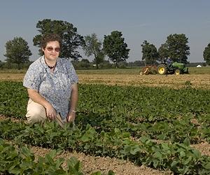 Shrubby Crops Can Help Fuel Africa's Green Revolution