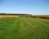 Crop rotation boosts soil microbes, benefits plant growth
