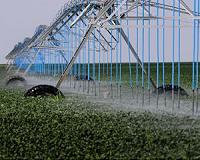 Greywater reuse for irrigation is safe
