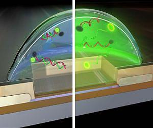 Building a biochemistry lab on a chip