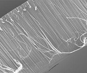 Plasma-treated nano filters help purify world water supply