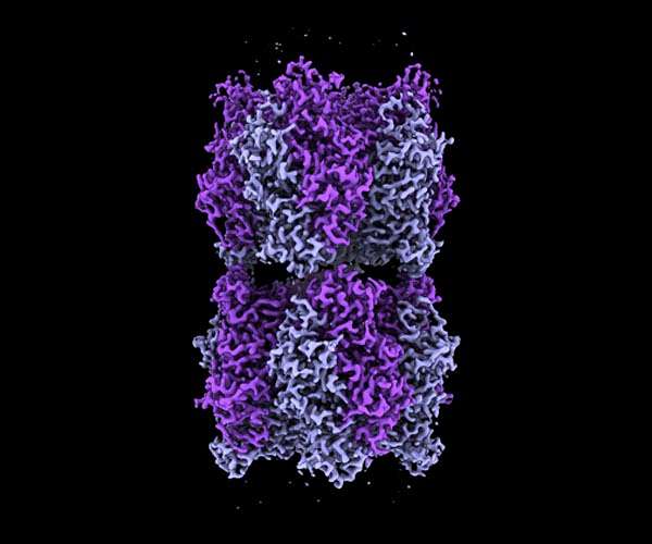 Back to the future of photosynthesis
