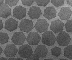 New studies point to wrinkles and process contaminants in Graphene