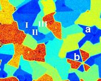 Edgy Look at 2D Molybdenum Disulfide