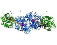 Bacteria perfected protein complexes more than 3.5 billion years ago