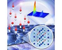 ORNL tracks how halogen atoms compete to grow 'winning' perovskites