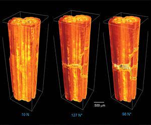 Space-Age Ceramics Get Their Toughest Test