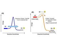 Current generation via quantum proton transfer