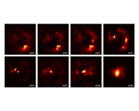 Student discovers stellar chamaeleon had astronomers fooled for years