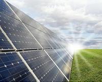 Cheap gas, coal won't hobble renewables: energy report