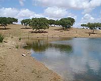 Improving Drought Forecasts