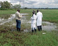 NASA Study Predicted Outbreak Of Deadly Virus