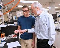 ASU researchers explore longer life cycle for batteries
