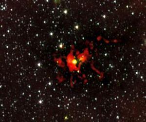 ALMA prenatal scan reveals embryonic monster star
