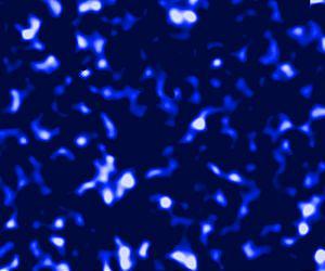 UBC astronomers help map the universe's dark matter at unprecedented scale