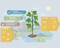 Nature's Silent Sentinels Could Help Detect Security Threats