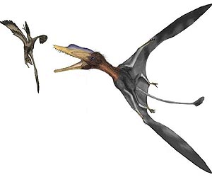Engineer Provides New Insight Into Pterodactyl Flight