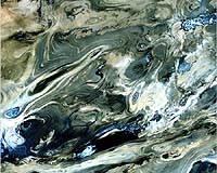 US Uses Landsat Satellite Data To Fight Hunger And Poverty