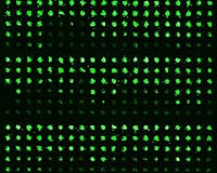 Swedish researchers find hole in 'flawless' encryption technology