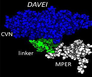 Disarming HIV With a Pop