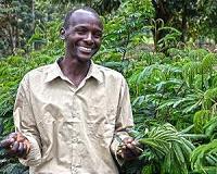 Agroforestry can ensure food security and mitigate the effects of climate change in Africa