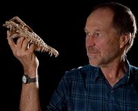 Answer to restoring lost island biodiversity found in fossils