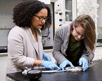 New Nano Devices Could Withstand Extreme Environments in Space