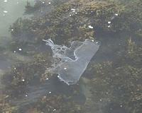 Plastic below the ocean surface