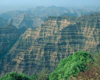 Dinosaur Deaths Outsourced To India