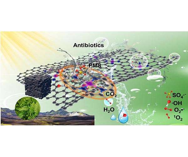 Upcycling biomass waste into Fe single atom catalysts for pollutant control