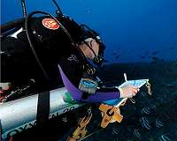 Deep reefs could offer refuge to vulnerable marine life as oceans warm