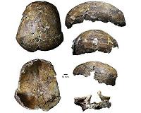 Ancient 'Deep Skull' from Borneo full of surprises