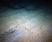 Deep ocean needs policy, stewardship where it never existed