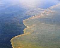 New results of Deepwater Horizon research to protect marine life against future oil spills