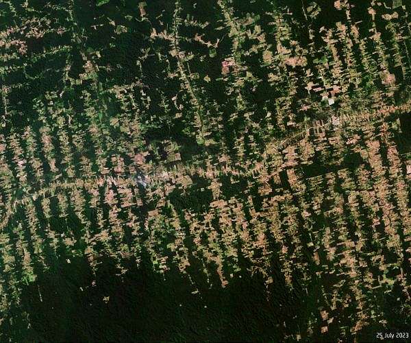 Brazil urges EU to suspend 'punitive' anti-deforestation law