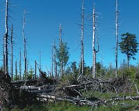 Linking Climate And Habitability