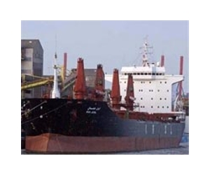 Dutch navy frees German cargo ship, arrests 10 pirates
