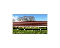 Material for polymer solar cells may lend itself to large-area processing