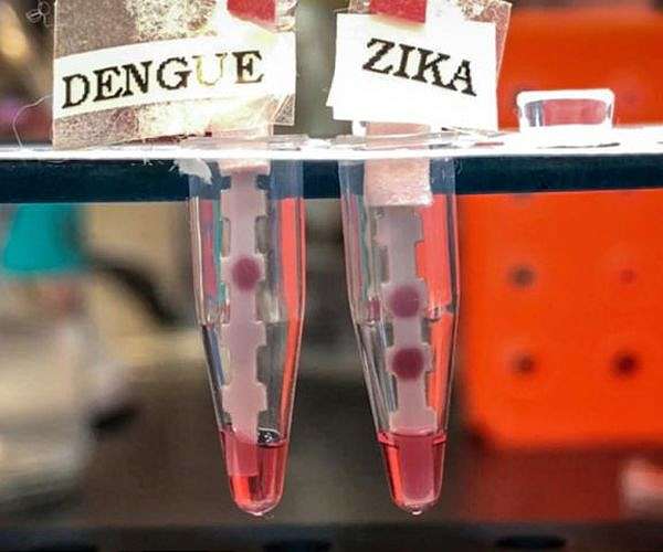 Brimful clinics, cemeteries as dengue ravages Peru
