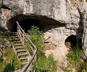 Neanderthal genome shows early human interbreeding, inbreeding